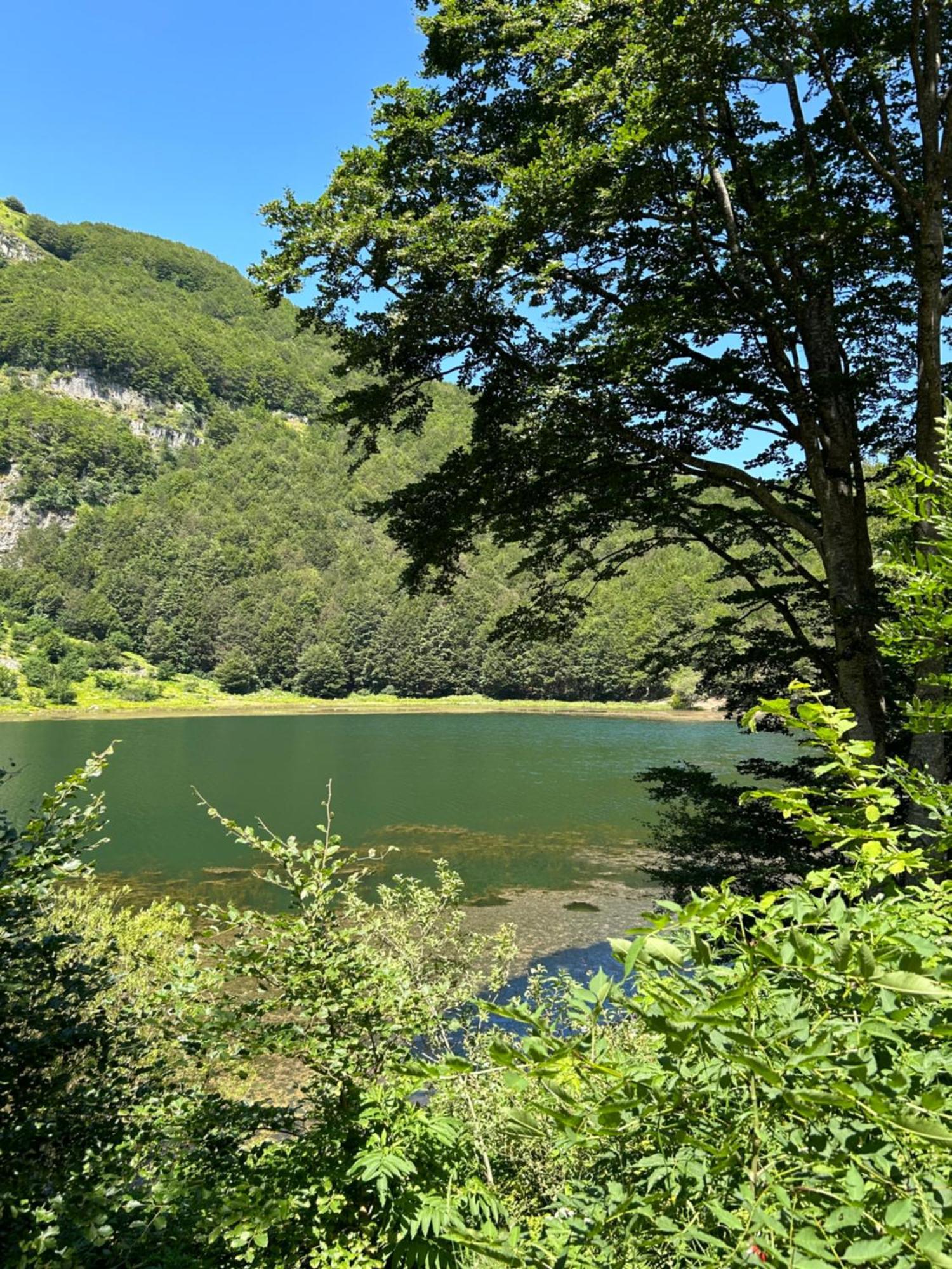 Da Cinzia Διαμέρισμα Pievepelago Εξωτερικό φωτογραφία